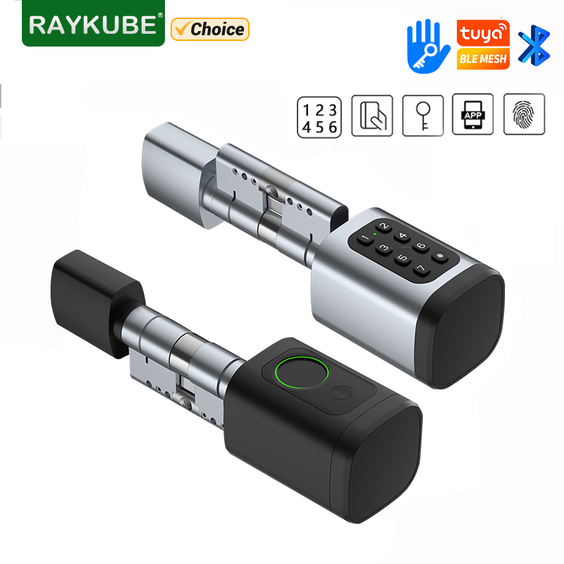 Home Security Key - Inteligentny zamek elektroniczny RAYKUBE V1 Tuya