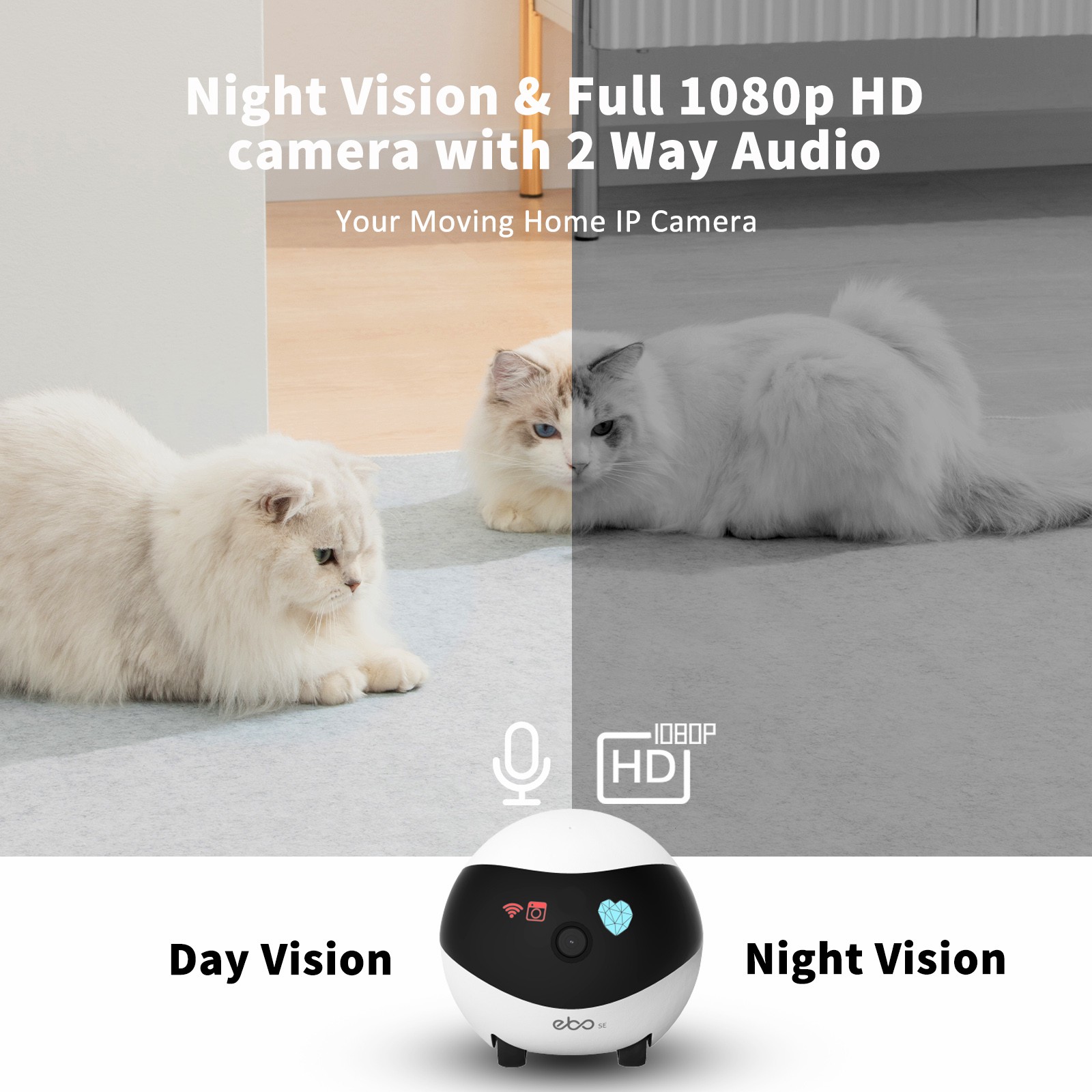 EBO SE Inteligentny Robot Domo – Home Security Robot recenzja i cena